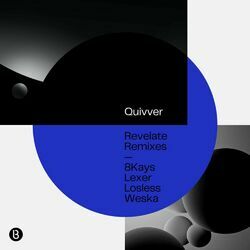 Picture of Quivver