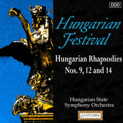 Picture of Hungarian State Symphony Orchestra