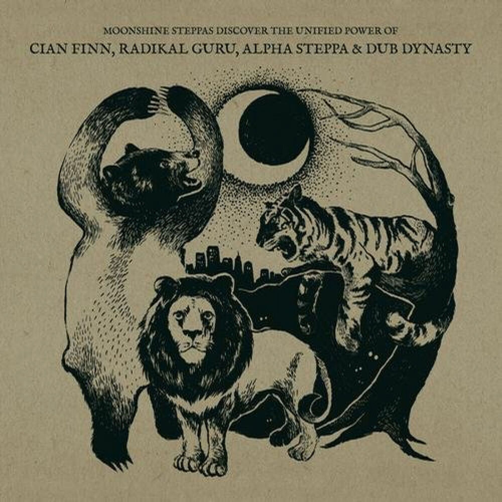 Picture of Cian Finn