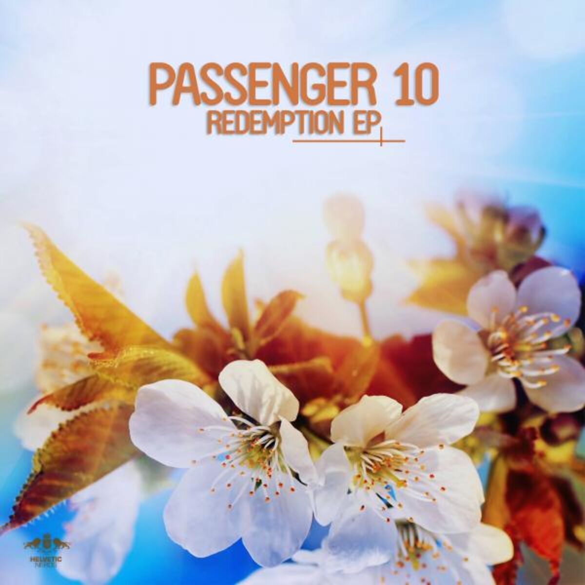 Passenger 10