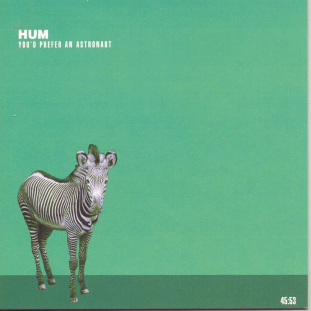 Picture of Hum