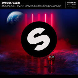 Picture of Disco Fries