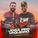 VBZINHO