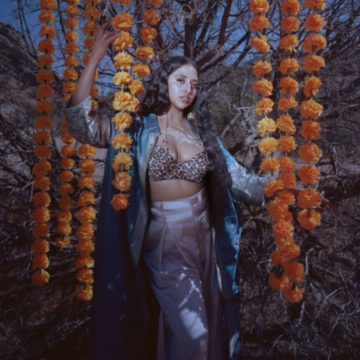 Artist picture of Raja Kumari