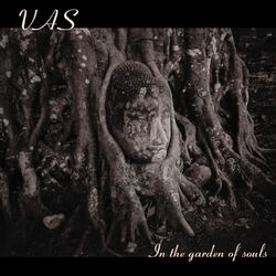 Picture of Vas