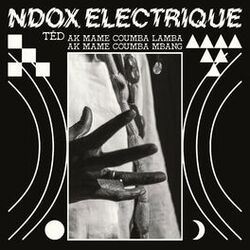 Picture of Ndox Electrique