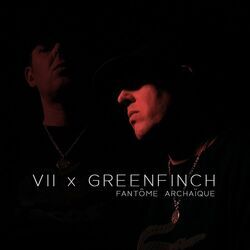 Picture of VII