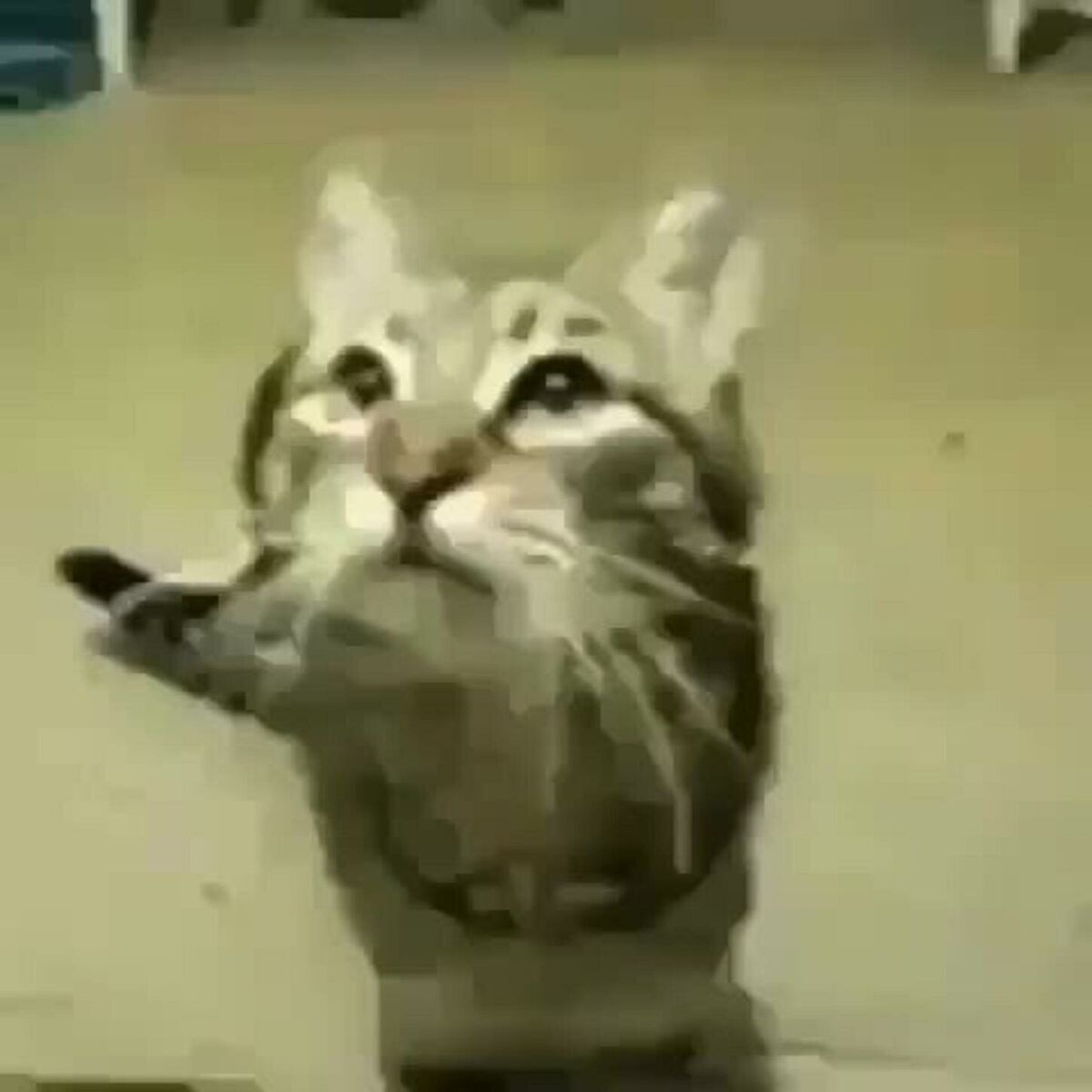 Lvusm