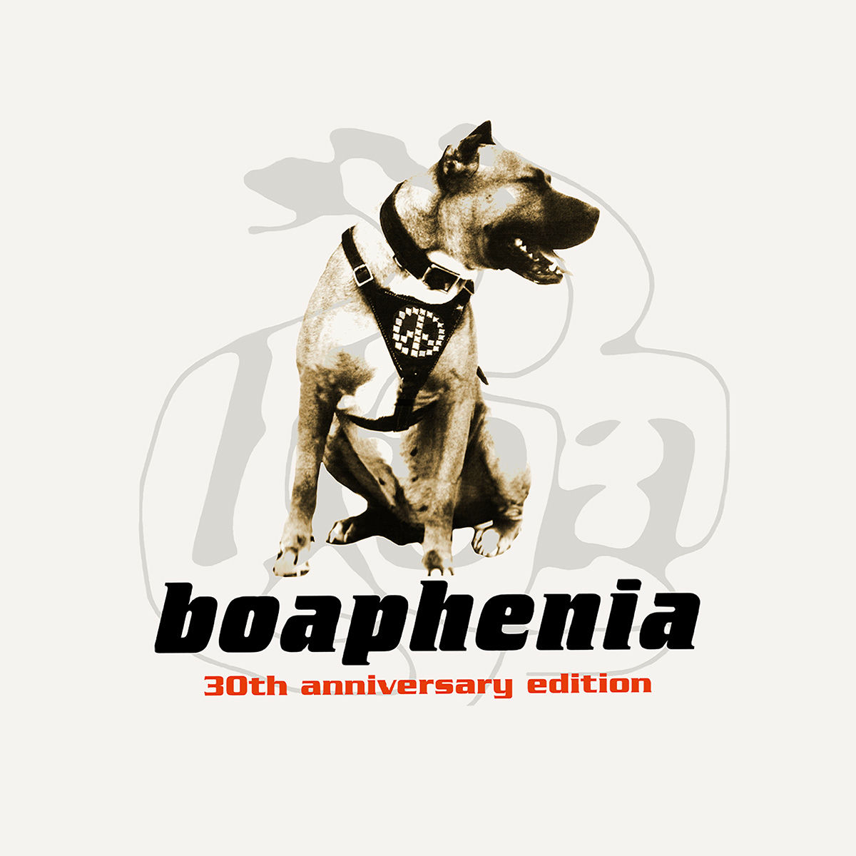 Artist picture of Phillip Boa And The Voodooclub