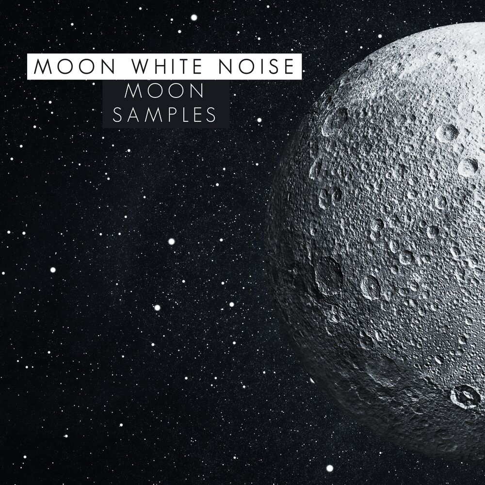 Picture of Moon Samples
