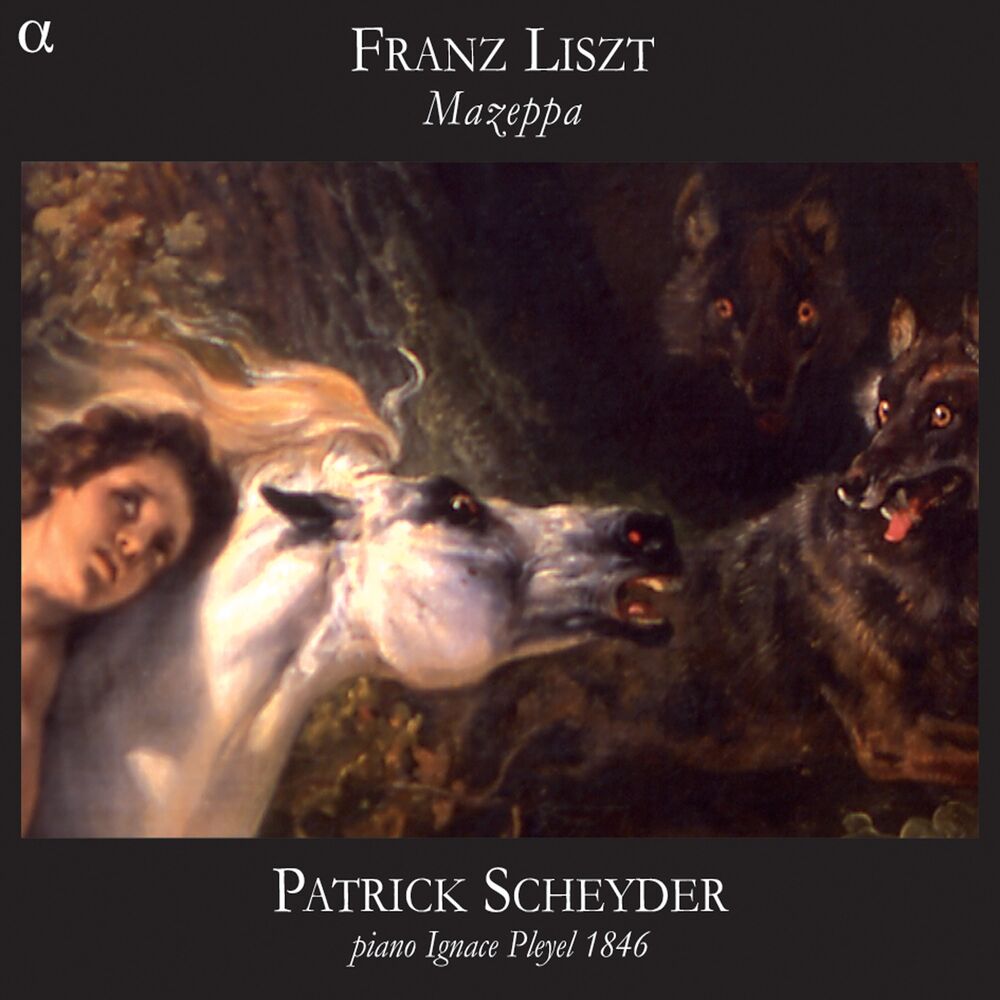 Picture of Patrick Scheyder