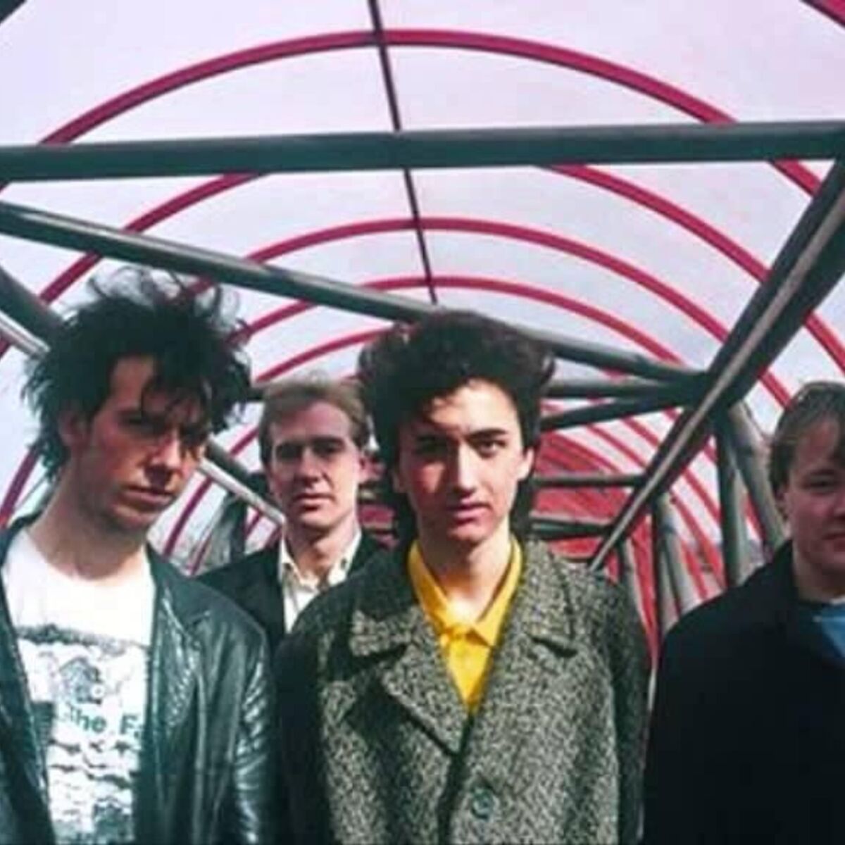 Half Man Half Biscuit