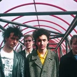 Picture of Half Man Half Biscuit