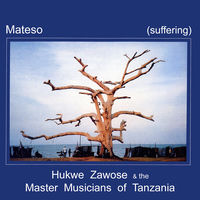 Hukwe Zawose & the Master Musicians Of Tanzania