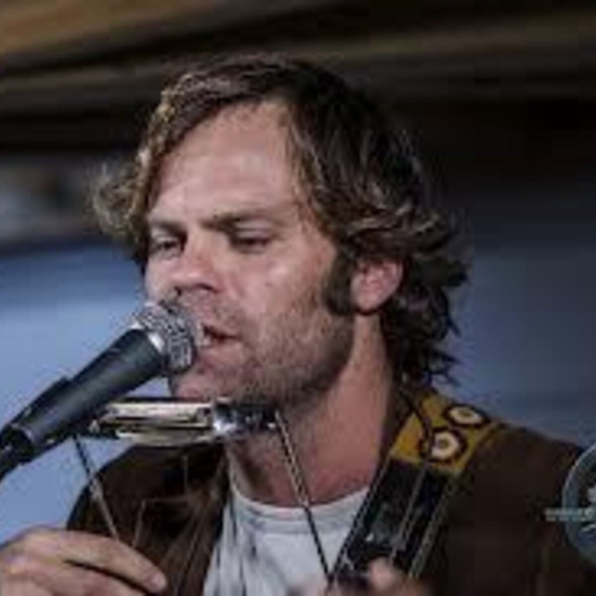 Artist picture of Neil Halstead