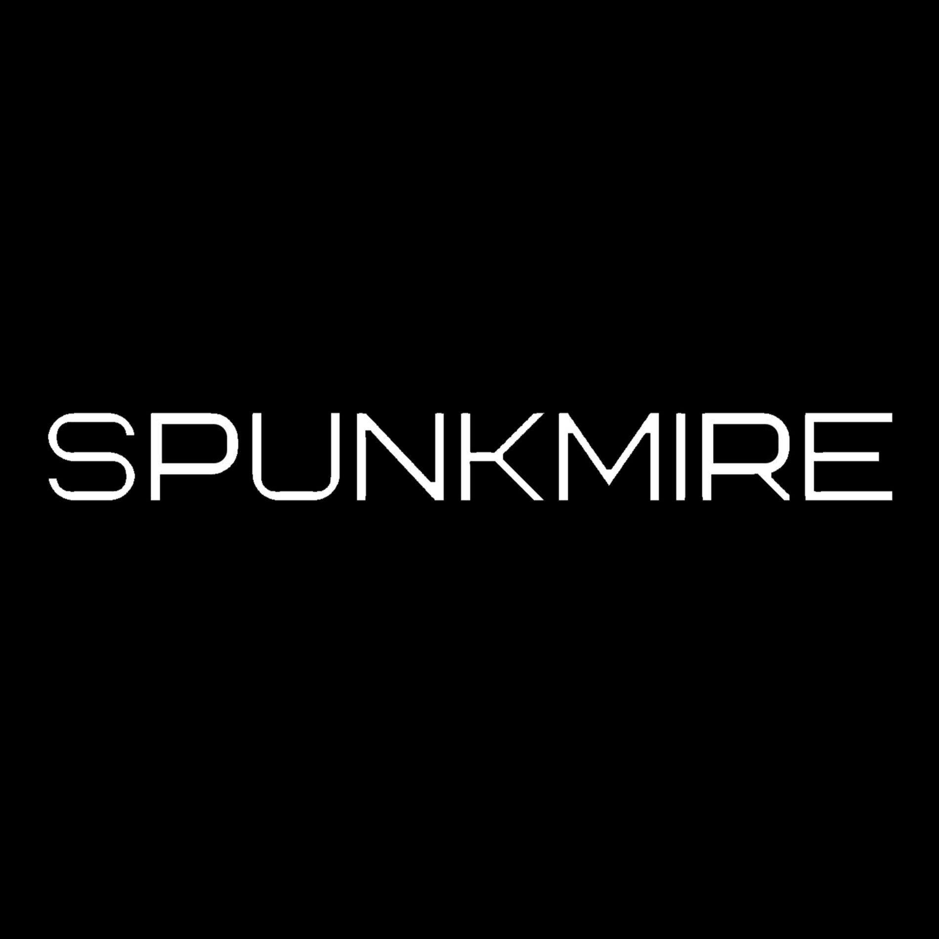 Artist picture of SPUNKMIRE