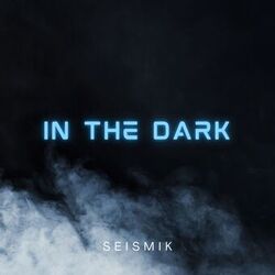 Picture of Seismik