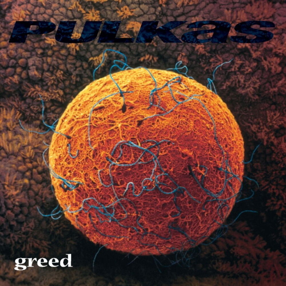 Picture of Pulkas