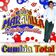 Grupo Maravilla De Robin Revilla