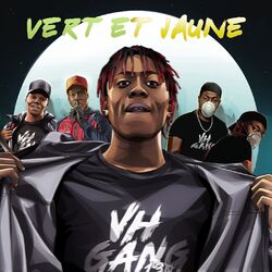 Picture of Vh Gang