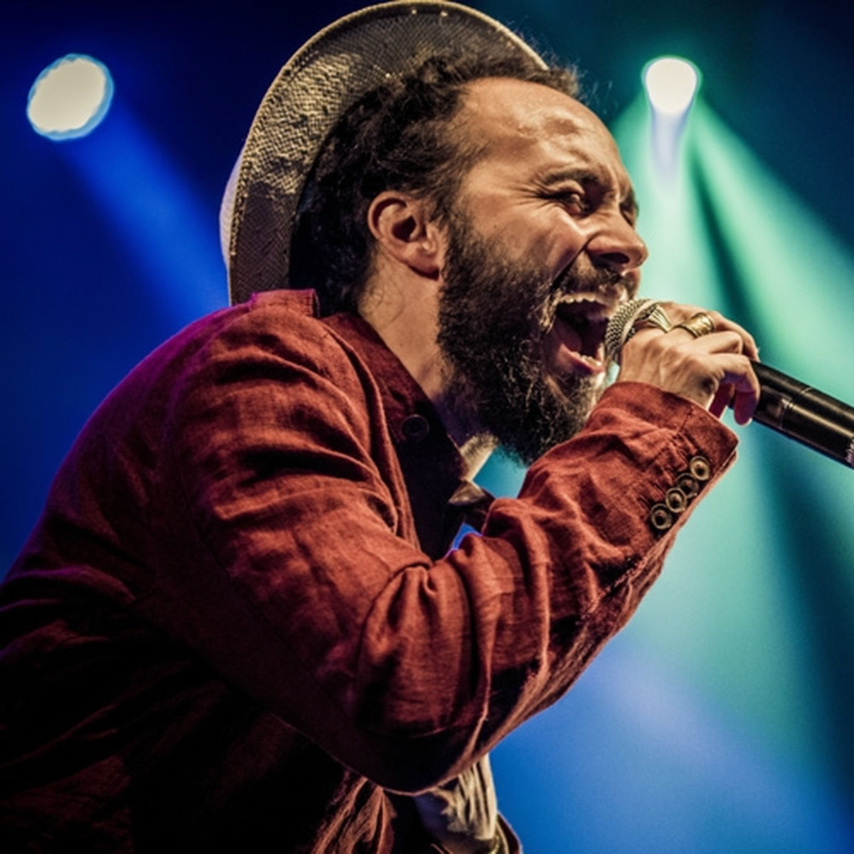 Artist picture of Rod Anton