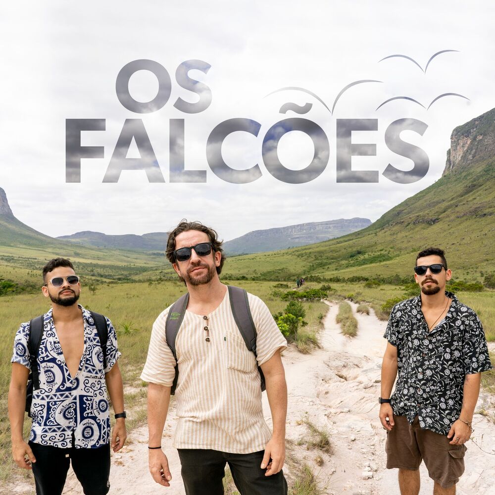 Picture of Os Falcões