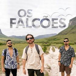 Picture of Os Falcões