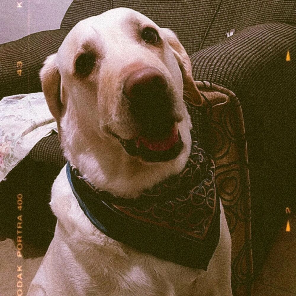 Picture of Big Soul