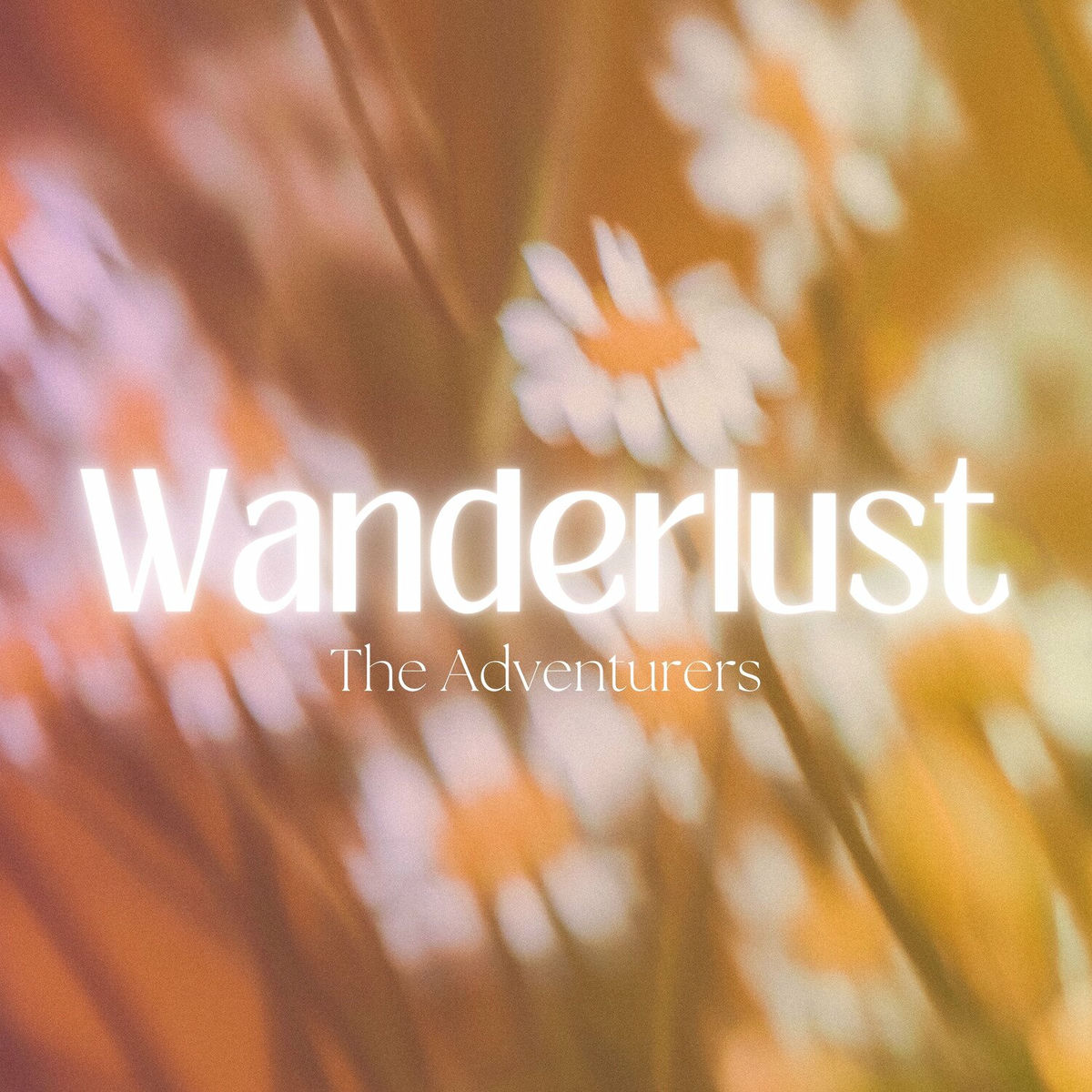 The Adventurers