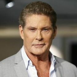 Picture of David Hasselhoff