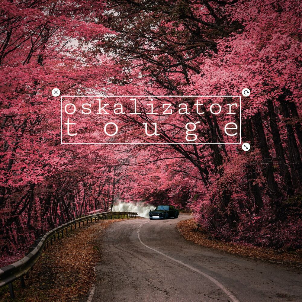 Picture of oskalizator.