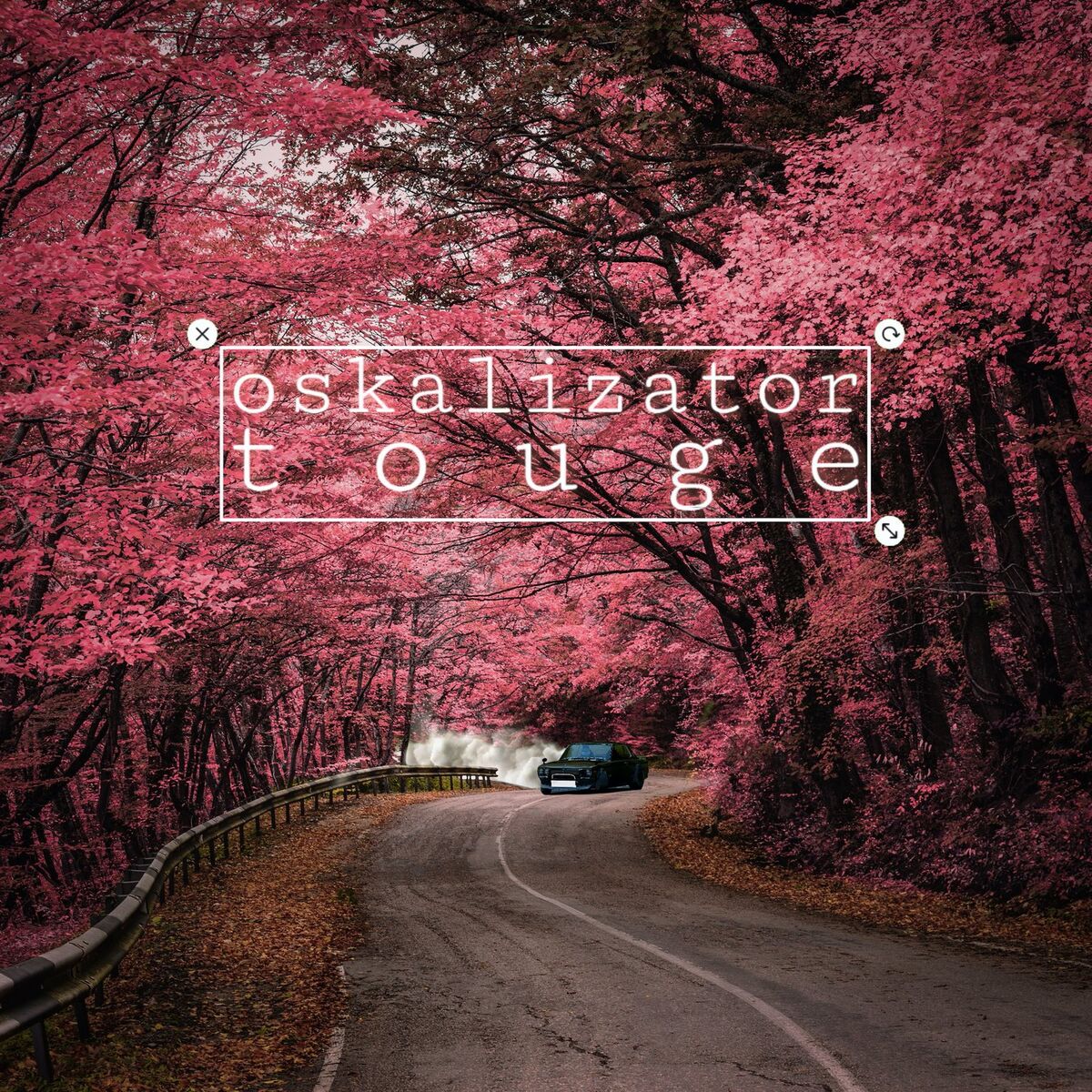 oskalizator.