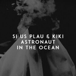 Picture of SI US PLAU