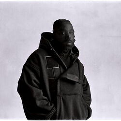 Picture of Dixson