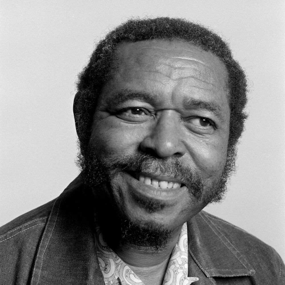 Picture of Brownie McGhee