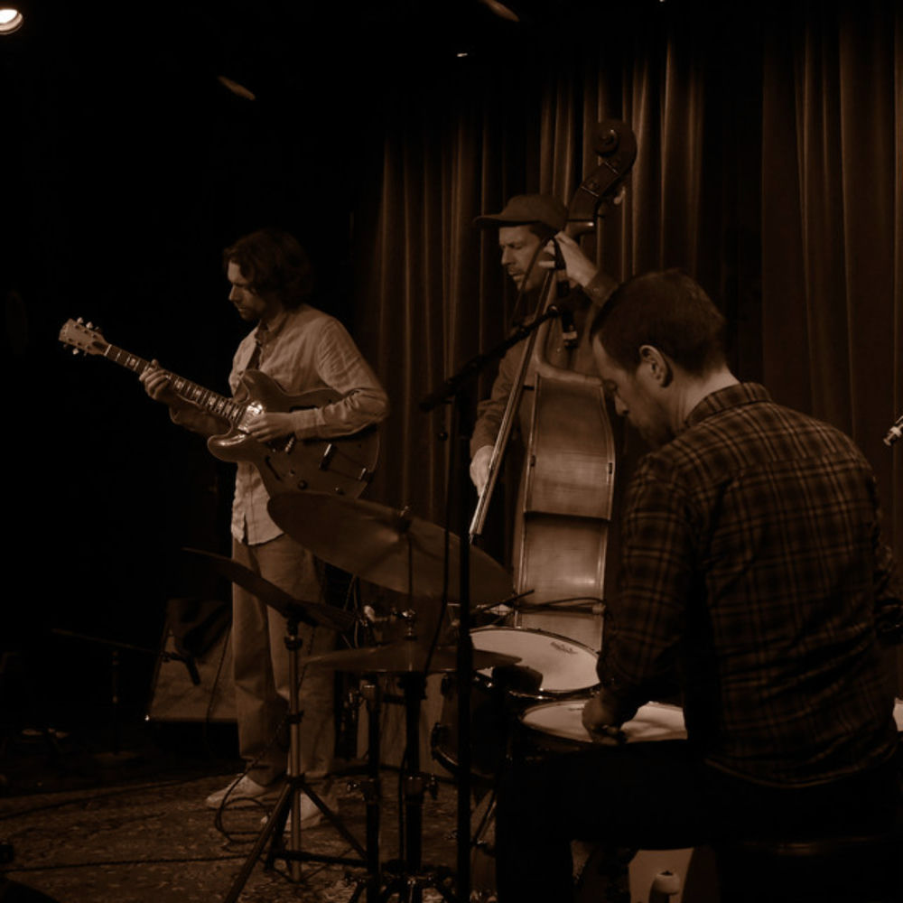 Photo de l'artiste Gustav Lundgren Trio