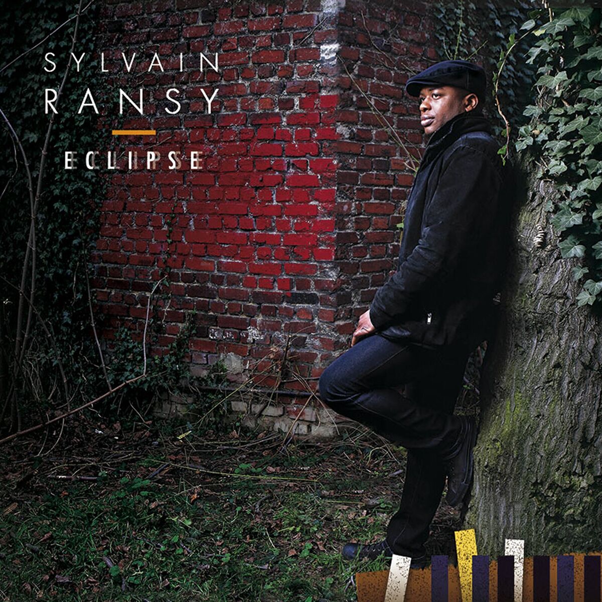 Artist picture of Sylvain Ransy