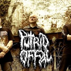 Picture of Putrid Offal