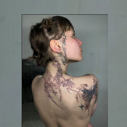 Picture of COCO-PALOMA