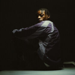 Picture of Beendo Z