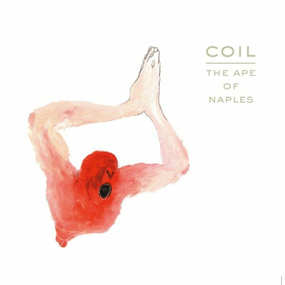 Picture of Coil
