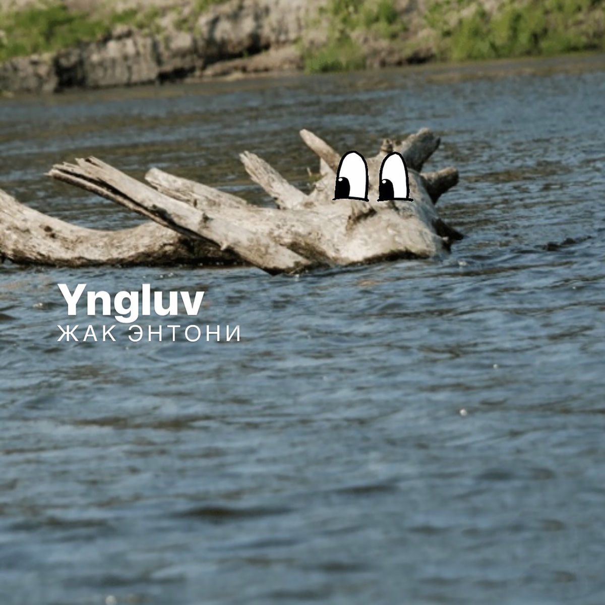 Жак Энтони