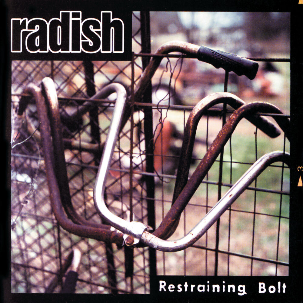 Picture of Radish