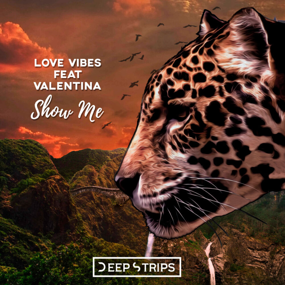 Picture of Love Vibes