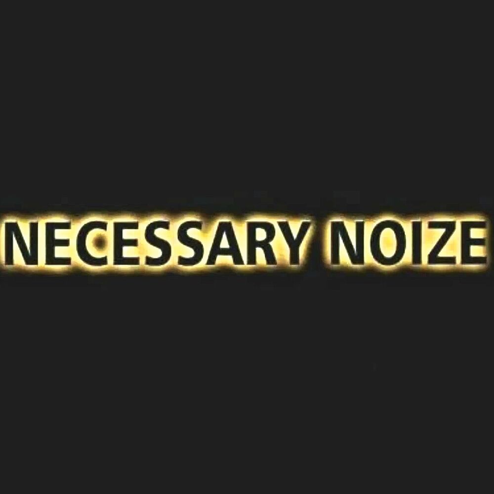 Picture of Necessary Noize