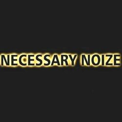 Picture of Necessary Noize