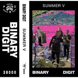 Picture of Binary Digit