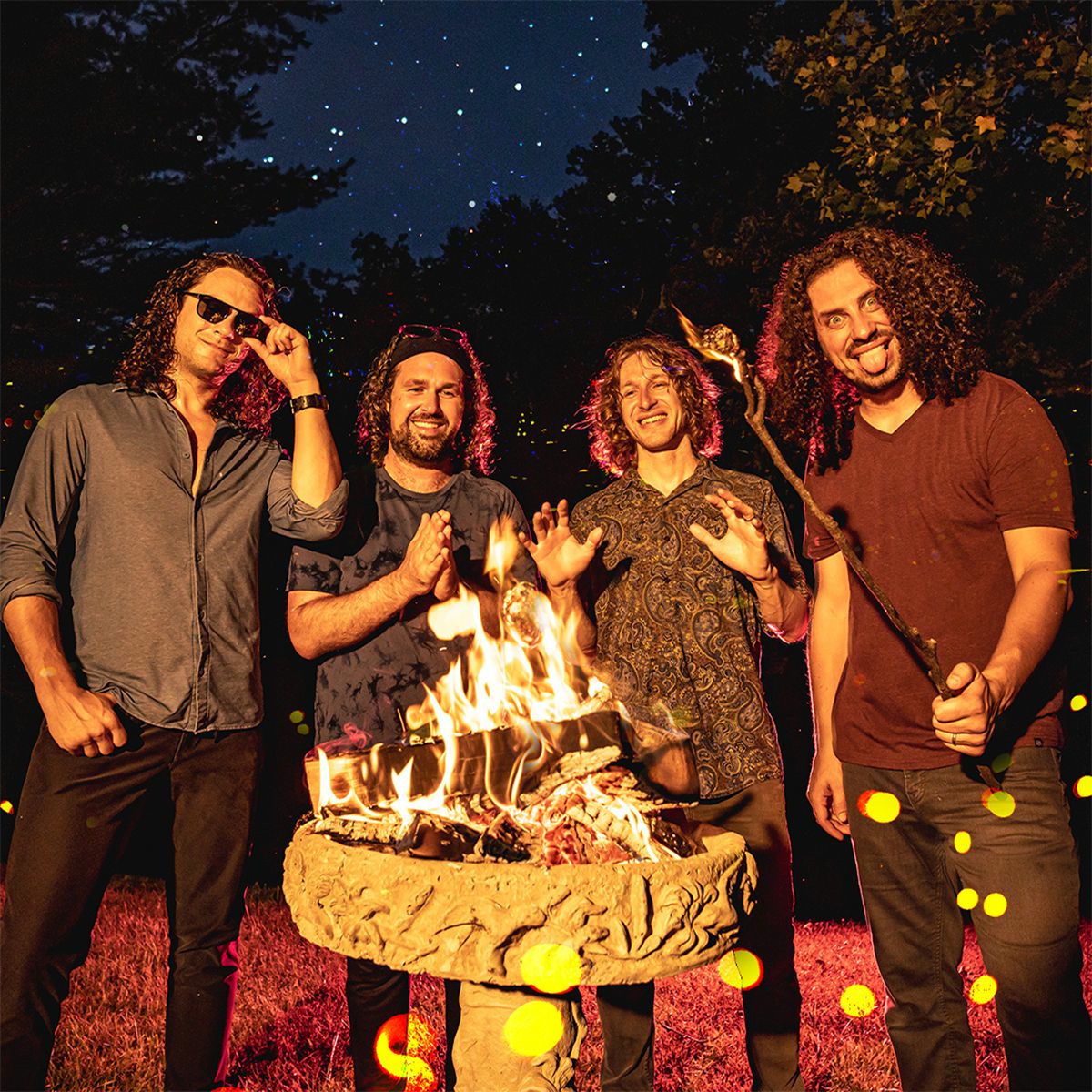 Artist picture of Pigeons Playing Ping Pong