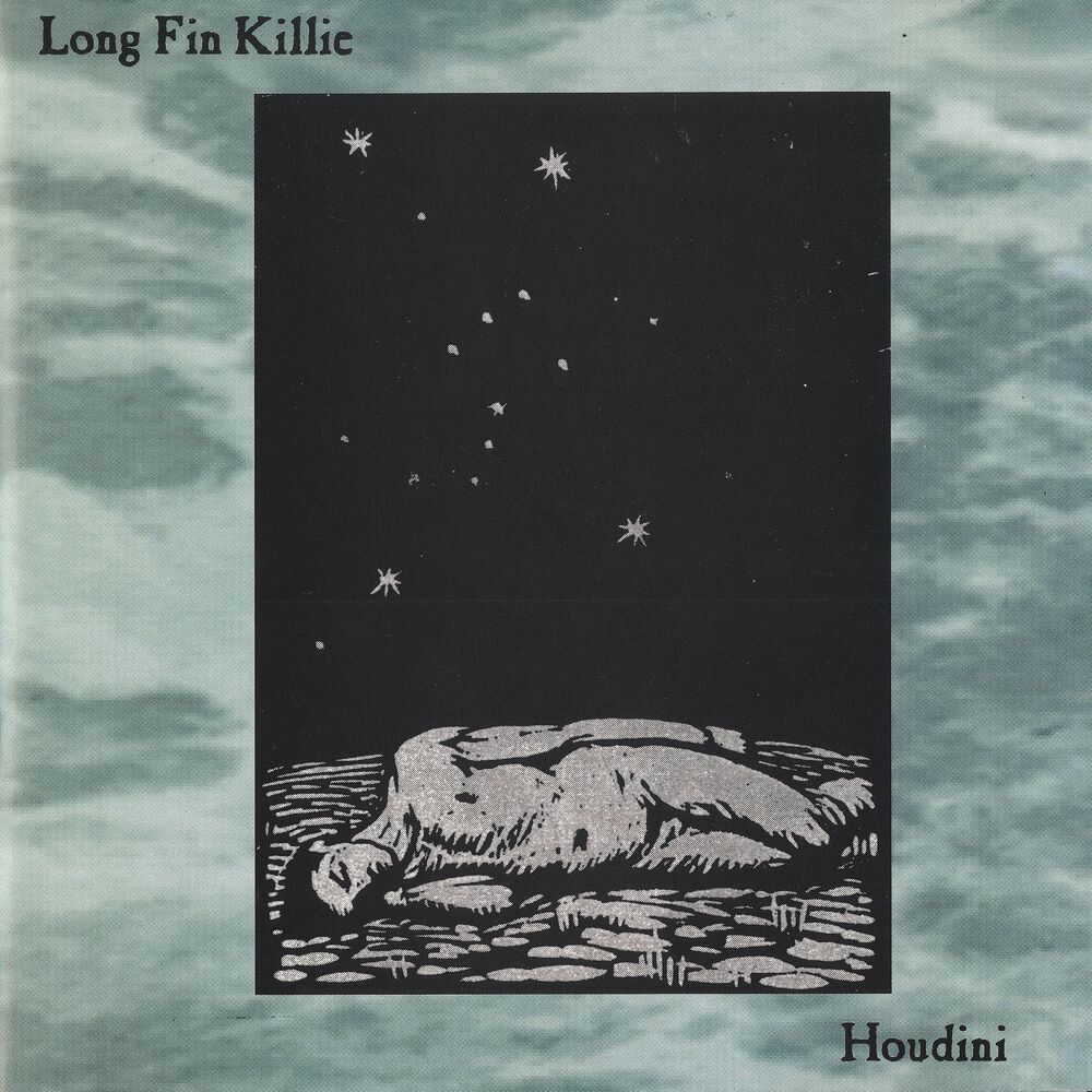 Picture of Long Fin Killie