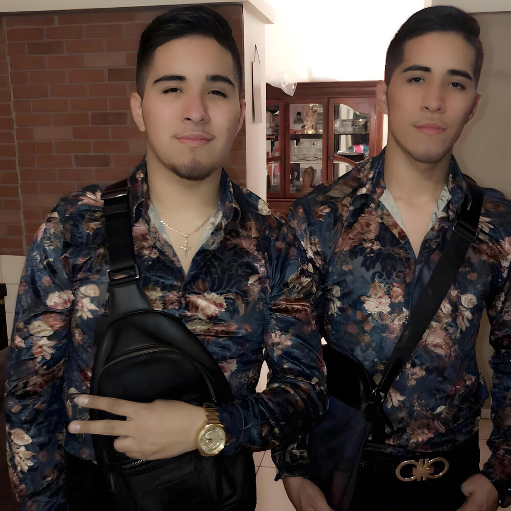 Picture of Los Gemelos De Sinaloa
